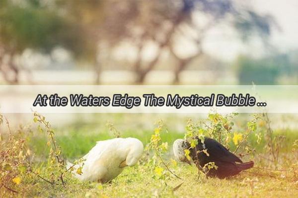 At the Waters Edge The Mystical Bubble Dream That Unveils Hidden Truths